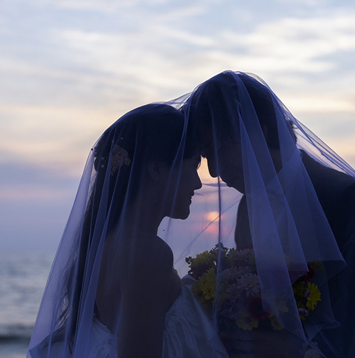 studio fort top vidual